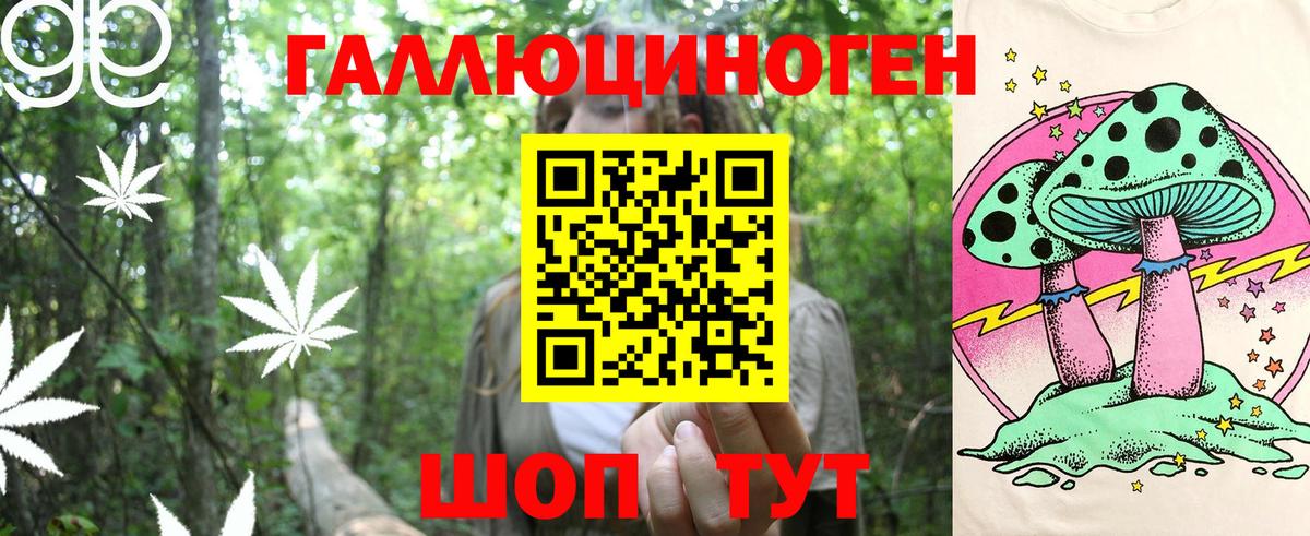 Галлюциногенные грибы Psilocybine cubensis  Вход с VPN  Сунжа 